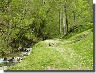 pêche pyrenees