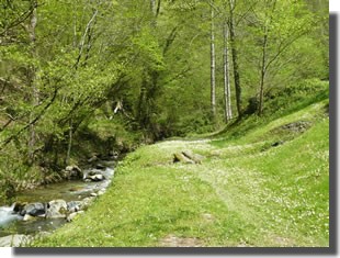 pche pyrenees